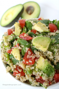 Avocado, Tomato, Quiona Salad